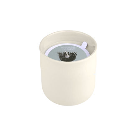 Εικόνα της ΑΡΩΜΑΤΙΚΟ ΚΕΡΙ WHISPERS OF SAGE 289g