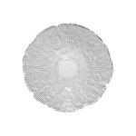 Εικόνα της ΜΠΟΛ ΓΥΑΛΙΝΟ ROCHE 16x5cm