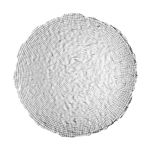 Εικόνα της ΔΙΣΚΟΣ ΣΕΡΒΙΡΙΣΜΑΤΟΣ ROCHE ΓΥΑΛΙΝΟΣ 32x2.9cm