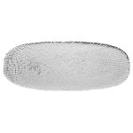 Εικόνα της ΔΙΣΚΟΣ ΣΕΡΒΙΡΙΣΜΑΤΟΣ ROCHE ΓΥΑΛΙΝΟΣ 42x17x2cm